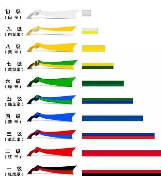 永晟親子課堂 跆拳道色帶的級別和含義——等級劃分！